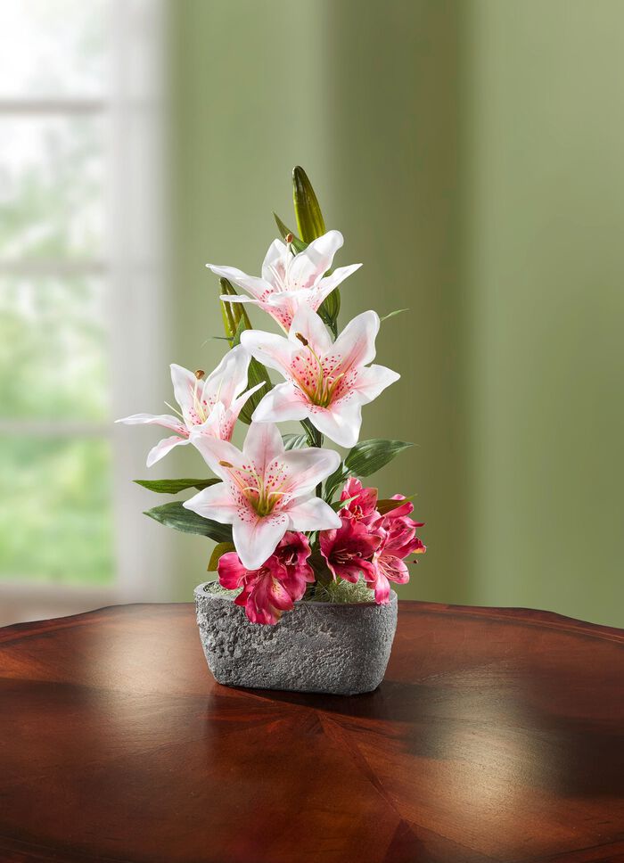 Lilien-Arrangement im Topf 