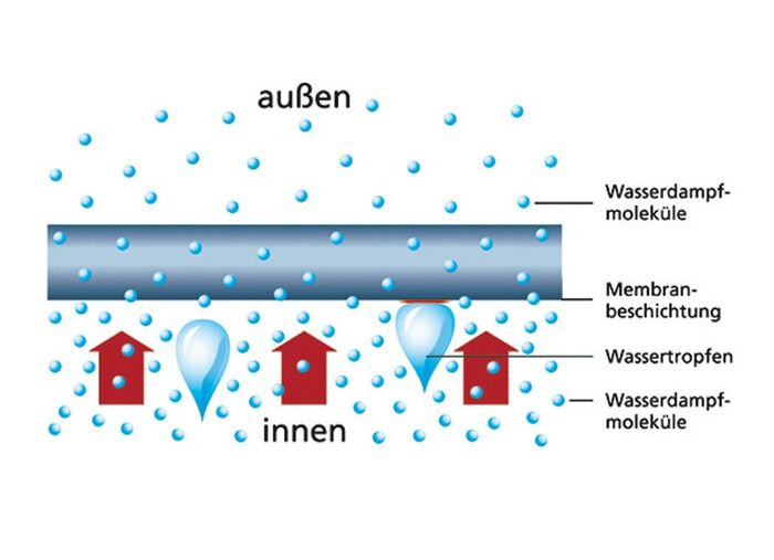 Inkontinenz-Slip f&uuml;r Damen und Herren 