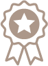Zertifikat Icon